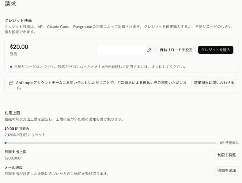 購入直後の請求ページ。クレジット残高 $20.00 の下に、月間支出上限 $200,000 と表示されている